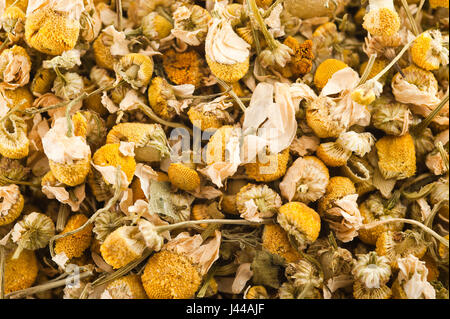 Kamille-Hintergrund mit Trockenblumen Stockfoto