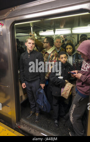 Rush Hour am Abend an der 42nd Street u-Bahnstation unter Grand Central Terminal ist immer eine Schulter an Schulter-Erfahrung in New York City. Stockfoto