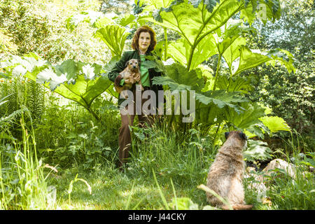 Lady Angelika Cawdor, die tschechischen Dowager Gräfin von Cawdor abgebildet mit Oe von ihren Hunden auf dem Gelände des Cawdor Castle geboren. Cawdor Castle befindet sich ami Stockfoto