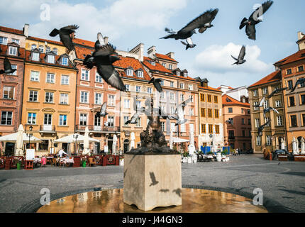 Vögel von Tauben fliegen durch Stare Miasto Marktplatz Altstadt mit Meerjungfrau Syrena-Statue im Zentrum von Warschau, Polen. Stockfoto