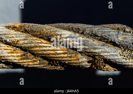 Dicken Stahlseil hautnah. Brücke Zaunelement. Detailansicht. Das Stahlseil ist mit Rost und Moos bedeckt. Sonnigen Frühlingstag. Stockfoto