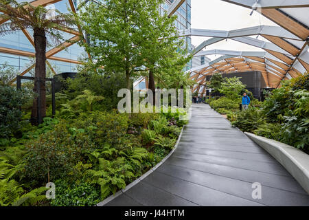 Crossrail Ort Dachgarten in Canary Wharf, London England Vereinigtes Königreich UK Stockfoto