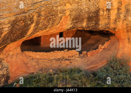 Dies ist eine Nahaufnahme von einer Klippe Wohnung auf die Butler Wash Ruine im Bären Ohren National Monument, San Juan County, Utah, USA. Stockfoto