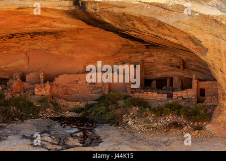 Dies ist eine Ansicht einer großen Klippe Wohnung auf die Butler Wash Ruine im Bären Ohren National Monument, San Juan County, Utah, USA. Stockfoto