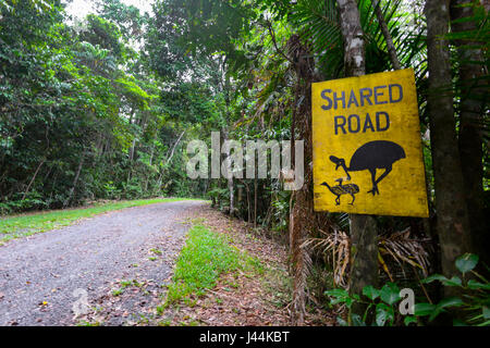 Warnung Straßenschild 'Shared Road mit Cassowaries' im tropischen Regenwald, Bellenden Ker, Far North Queensland, Queensland, FNQ, Australien Stockfoto