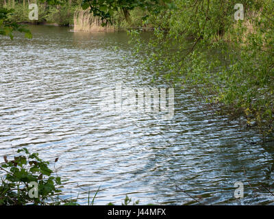 fließendes Wasser Textur bis in den späten Nachmittag Frühjahr leichte Wellen außerhalb schließen und schöne Wellen Stockfoto