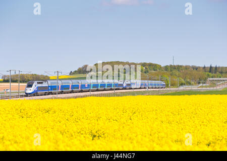 TGV mit hoher Geschwindigkeit in Yonne, Frankreich Stockfoto