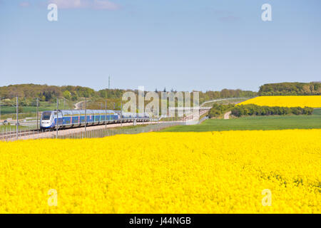 TGV mit hoher Geschwindigkeit in Yonne, Frankreich Stockfoto