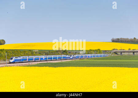 TGV Duplex mit Hight Geschwindigkeit in Yonne, Frankreich Stockfoto