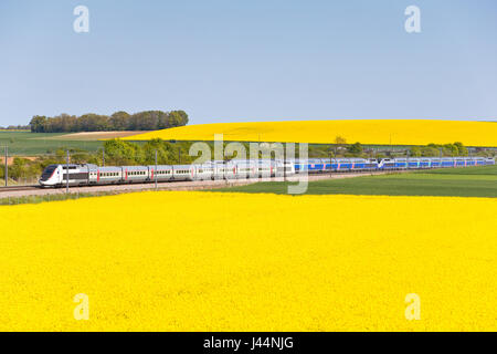 TGV mit hoher Geschwindigkeit in Yonne, Frankreich Stockfoto