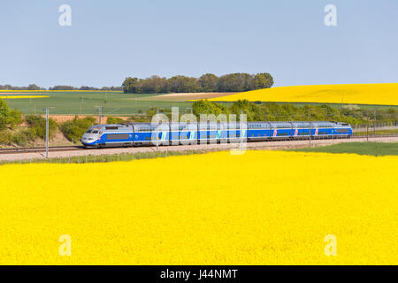 TGV Duplex mit Hight Geschwindigkeit in Yonne, Frankreich Stockfoto