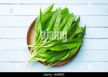 Bärlauch oder Bärlauch Blätter auf Platte. Ansicht von oben. Stockfoto