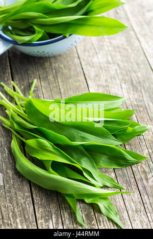 Bärlauch oder Bärlauch Blätter auf alten Holztisch. Stockfoto