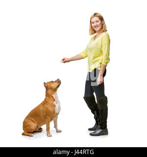 Schöne, glückliche junge Frau Ausbildung amerikanischer Staffordshire-Terrier Hund. Studio gedreht isolierten auf weißen Hintergrund. Kopieren Sie Raum. Stockfoto