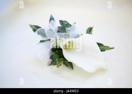 Distel-Knopfloch-Blume für den besten Mann Stockfoto