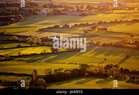 Yorkshire-Felder bei Sonnenuntergang Stockfoto