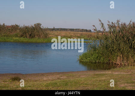 Nebenarm der Havel Bei Gülpe, Westhavelland, Brandenburg.Branch des Flusses Havel, am Guelpe, Brandenburg, Deutschland. Stockfoto