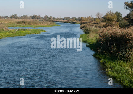 Nebenarm der Havel Bei Gülpe, Westhavelland, Brandenburg.Branch des Flusses Havel, am Guelpe, Brandenburg, Deutschland. Stockfoto