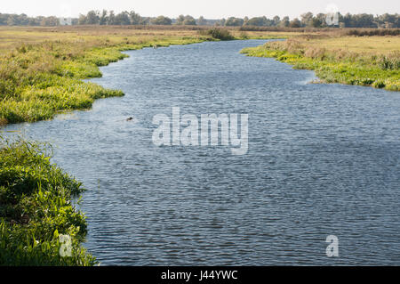 Nebenarm der Havel Bei Gülpe, Westhavelland, Brandenburg.Branch des Flusses Havel, am Guelpe, Brandenburg, Deutschland. Stockfoto