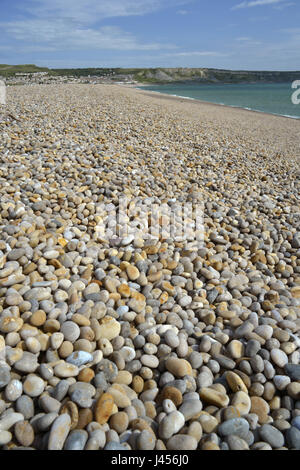 Chesil Beach mit Blick auf Portland, Dorset, Großbritannien Stockfoto