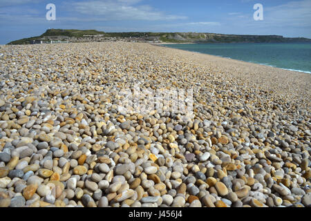 Chesil Beach mit Blick auf Portland, Dorset, Großbritannien Stockfoto