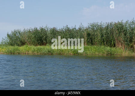 Nebenarm der Havel Bei Gülpe, Westhavelland, Brandenburg.Branch des Flusses Havel, am Guelpe, Brandenburg, Deutschland. Stockfoto