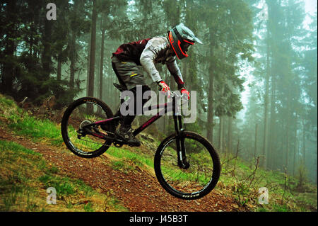Downhill-Trail, Thüringer Wald, Deutschland Stockfoto