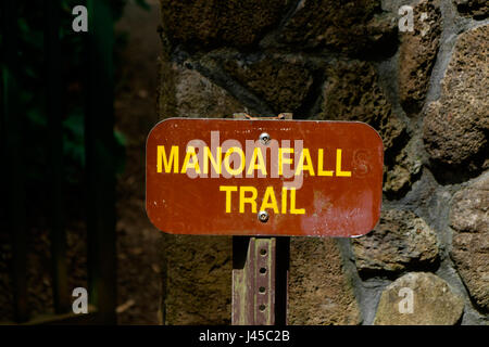 Manoa Falls Trail Wanderung Oahu Hawaii Stockfoto