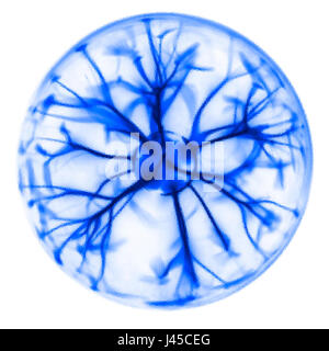 Blaue transparente Kugel Stockfoto