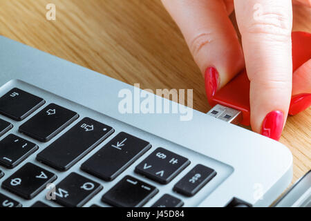 Nahaufnahme einer Frau Hand ein rot USB-Stick auf einem Laptop einstecken Stockfoto