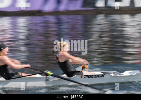 USA, Washington, Seattle, Crew-Rennen durch Montlake Schnitt Stockfoto