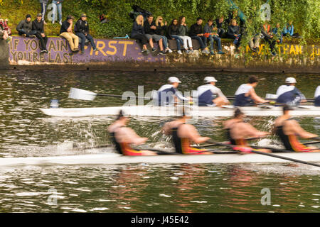 USA, Washington, Seattle, Crew-Rennen durch Montlake Schnitt Stockfoto