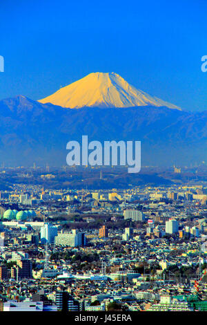 Blick auf Mount Fuji aus Tokyo Metropolitan Government Building Shinjuku Japan Stockfoto