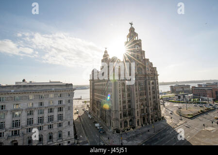 Blick von der Dachterrasse, Liver Building in Liverpool Stockfoto