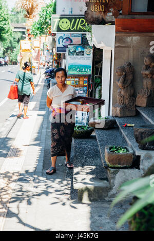 UBUD, Indonesien - 25 Februar: Balinesische Frau in traditioneller Kleidung, die Opfergaben an die Götter, Ubud, Indonesien am 25. Februar 2016 Stockfoto