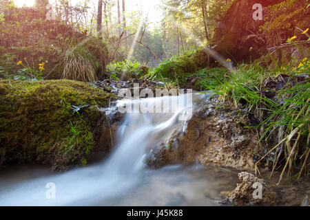 kleiner Bach im Frühlingswald mit unscharfen Wasser Stockfoto