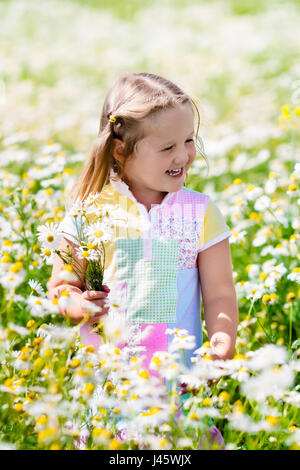 Kind spielt in Daisy-Feld. Mädchen frische Blumenpflücken in Margeriten Wiese an sonnigen Sommertag. Kinder spielen im Freien. Kinder entdecken Natur. Wenig gi Stockfoto