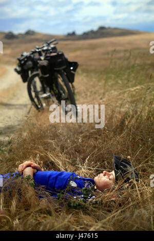 Jasmin verschiebt sich zur Mittagszeit auf der Otago Rail Trail in der Nähe von Chatto Creek Stockfoto