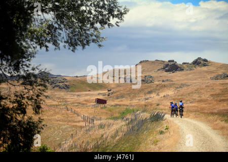 Bild von Tim Cuff - 18-23 Dezember 2016 - Otago Rail Trail, New Zealand: Reiten durch die windgepeitschten Wiesen des Manuherikia Tals, Tag 1 Stockfoto