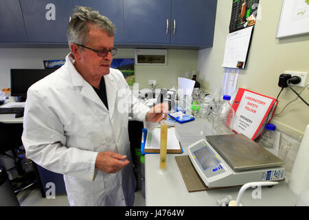 Bild von Tim Cuff - 26. Oktober 2016 - Dr. Ron Beatson in der experimentellen Brauerei im Werk und Essen, Motueka, Nelson, Neuseeland: Stockfoto