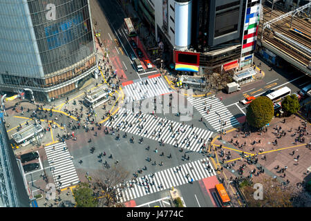 Tokyo, Japan Ansicht von Shibuya Crossing, einer der verkehrsreichsten Zebrastreifen in Tokio, Japan.