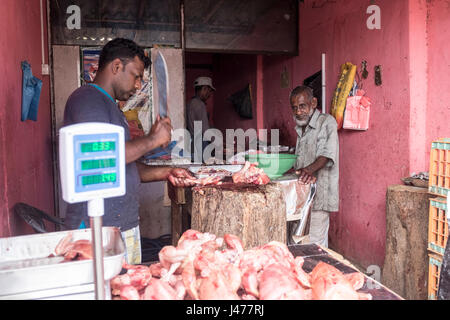 Ein muslimischer Metzger dient ein Kunde in einem Geschäft in Negombo, Sri Lanka. Stockfoto