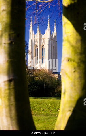 Laterne-Turm, St Edmundsbury Cathedral, Bury St Edmunds, Suffolk, UK. Entworfen von Hugh Matthew. Entwicklung der Urkirche 11. Jahrhundert. Stockfoto