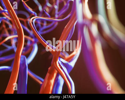 Blutgefäße der eine menschliche - close-up - 3D Rendering Stockfoto