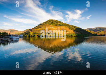 Portugal Douro-Tal, ein großer terrassierter Hügel verwendet für den Anbau von Reben entlang des Flusses Douro in Pinhao beleuchtet durch eine Feder Sonnenuntergang, Portugal Stockfoto