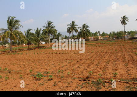 Landwirtschaftliche Flächen Stockfoto