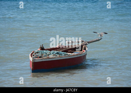 Schwarze Leitung Möwen thront auf einem alten roten hölzernen Fischerboot entlang der Nordwest Küste von Grenada in der Nähe von Gouyave. Grenada, Karibik Stockfoto