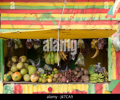 Einem bunt bemalten Stand am Straßenrand verkauft eine große Vielzahl von Obst wie Bananen, Papaya, Soursop, Zitronen, Limetten und Orangen.  Grenada, West In Stockfoto