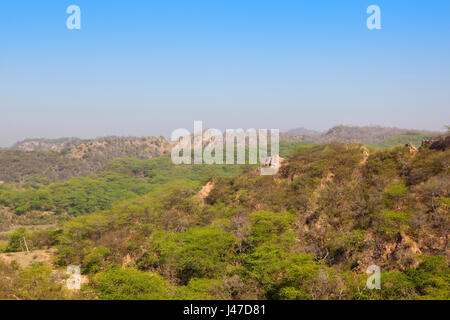 Morni Akazien Wald und Sandy Berg Hügellandschaft in der Nähe von Chandigarh Stadt im Punjab Indien unter einem strahlend blauen Himmel im Frühling Stockfoto