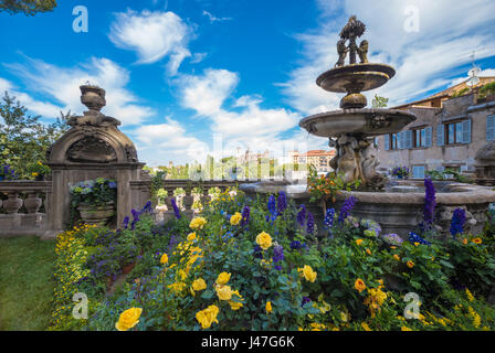 Viterbo, Italien - Bezirk ein Sonntagmorgen in der mittelalterlichen Stadt des Latium, benannte San Pellegrino, während des Festes des Heiligen Pilger in Blüte Stockfoto